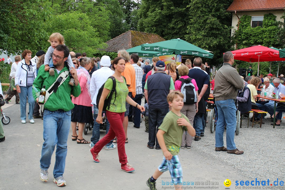 Hoffest-Rengoldshausen-Ueberlingen-2206-2013-Bodensee-Community-SEECHAT_de-IMG_8759.JPG