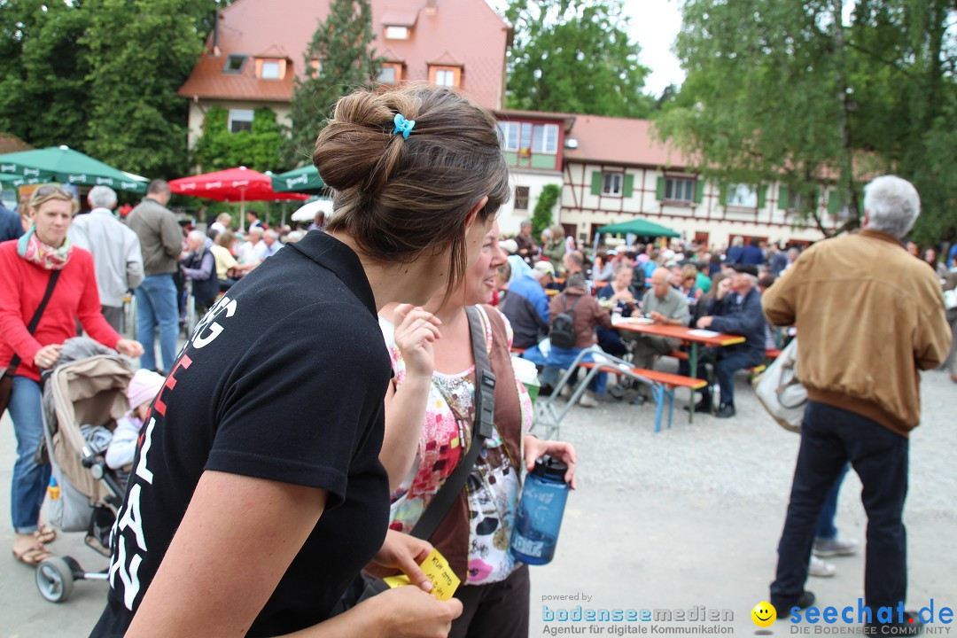 Hoffest-Rengoldshausen-Ueberlingen-2206-2013-Bodensee-Community-SEECHAT_de-IMG_8762.JPG