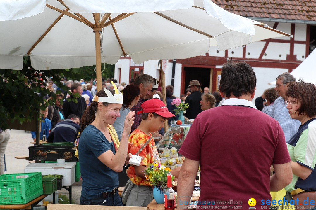 Hoffest-Rengoldshausen-Ueberlingen-2206-2013-Bodensee-Community-SEECHAT_de-IMG_8813.JPG