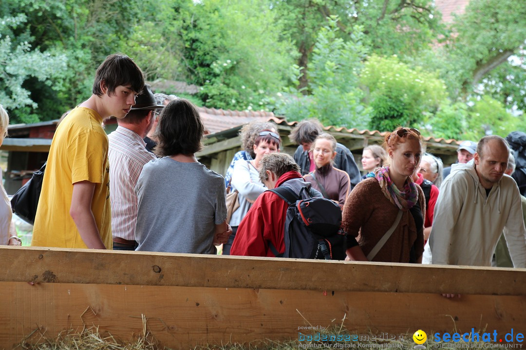Hoffest-Rengoldshausen-Ueberlingen-2206-2013-Bodensee-Community-SEECHAT_de-IMG_8826.JPG