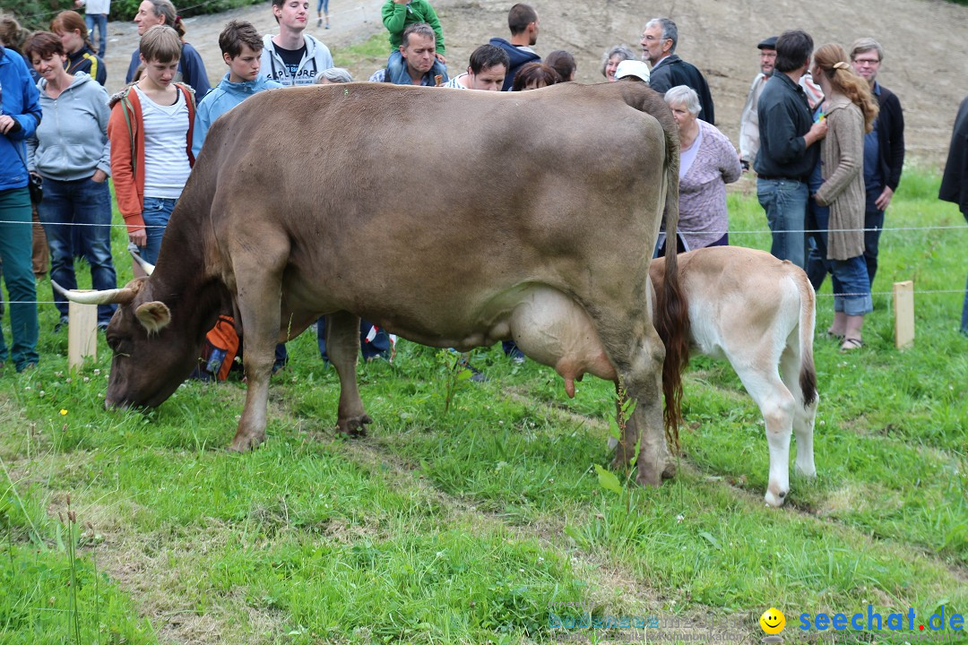 Hoffest-Rengoldshausen-Ueberlingen-2206-2013-Bodensee-Community-SEECHAT_de-IMG_8980.JPG