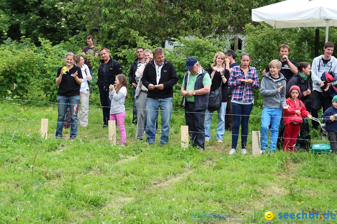 Hoffest-Rengoldshausen-Ueberlingen-2206-2013-Bodensee-Community-SEECHAT_de-IMG_9018.JPG