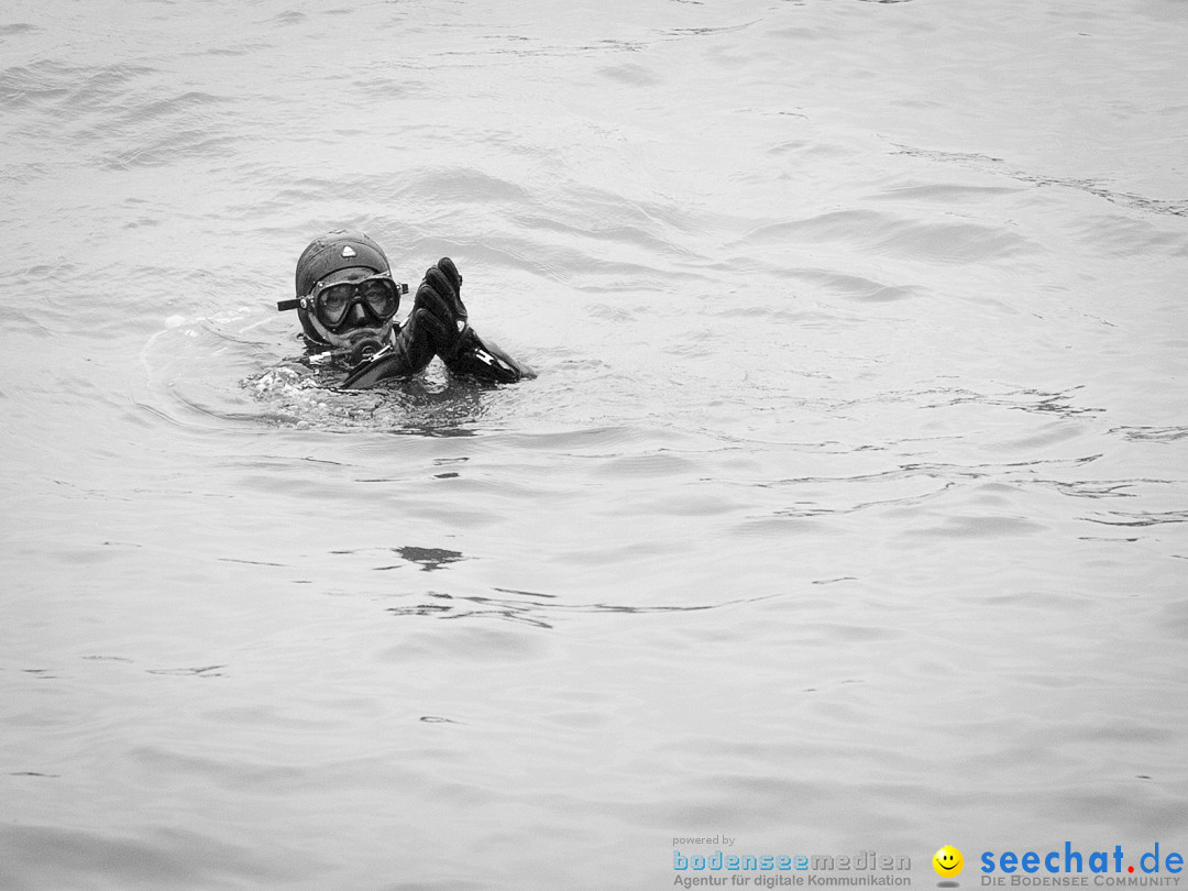 7. Internationale Seehafenfliegen by seechat: BODENS.EE: Lindau, 29.06.2013