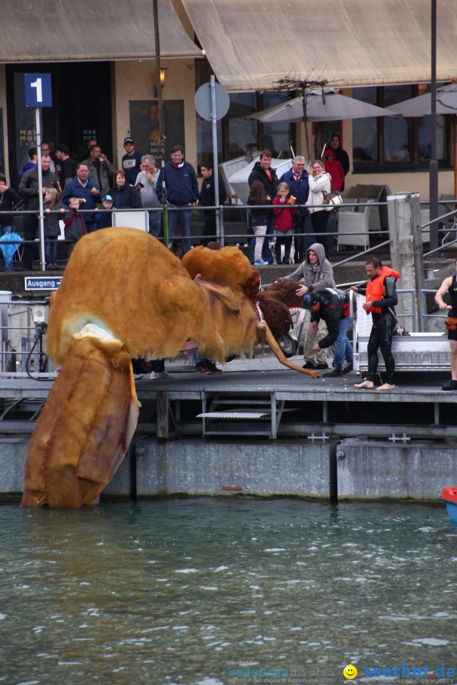 7. Internationale Seehafenfliegen by seechat: BODENS.EE: Lindau, 29.06.2013