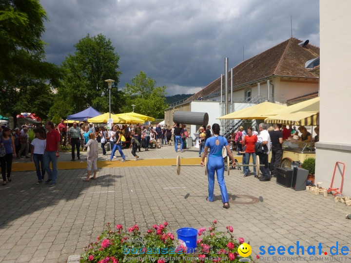 Hafenfest mit Flohmarkt: Ludwigshafen am Bodensee, 30.06.2013