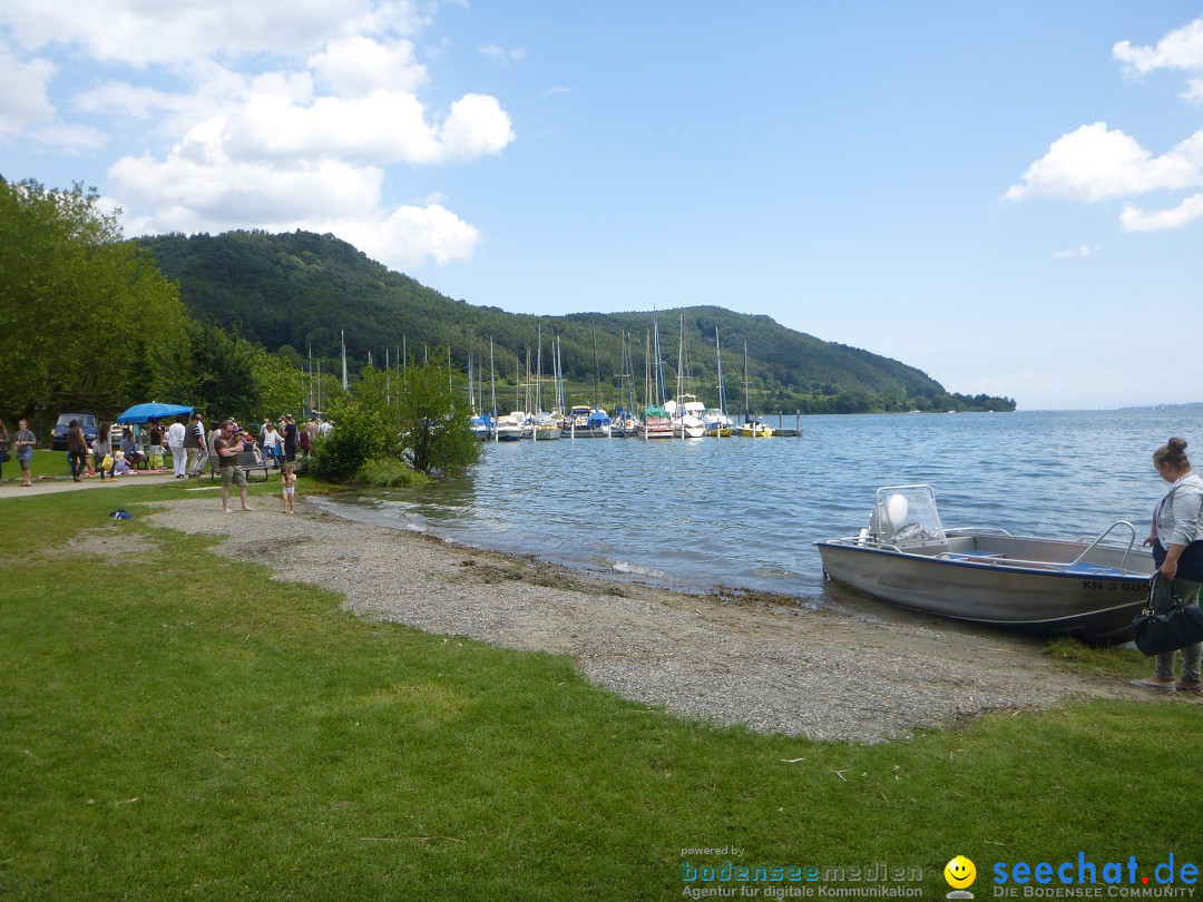 Hafenfest mit Flohmarkt: Ludwigshafen am Bodensee, 30.06.2013