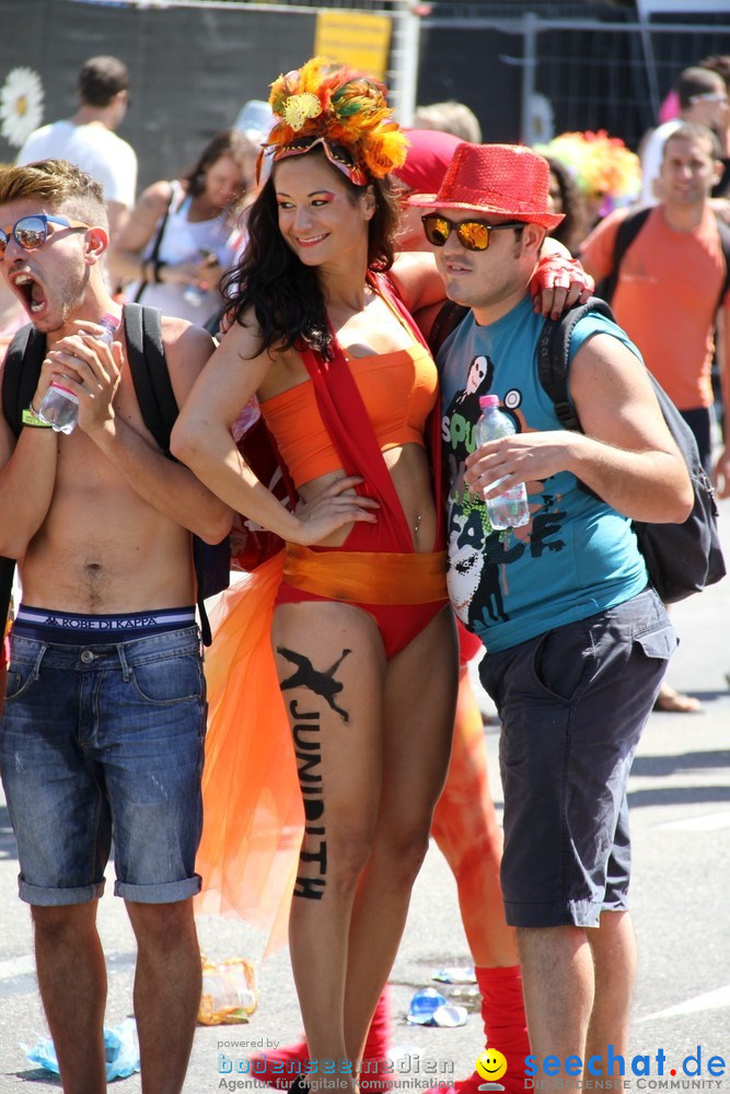 Streetparade-Zuerich-10082013-Bodensee-Community-Seechat-DE_1271.jpg