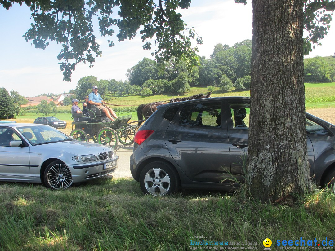 Westernreiter D-Turnier: Aach-Linz am Bodensee, 18.08.2013