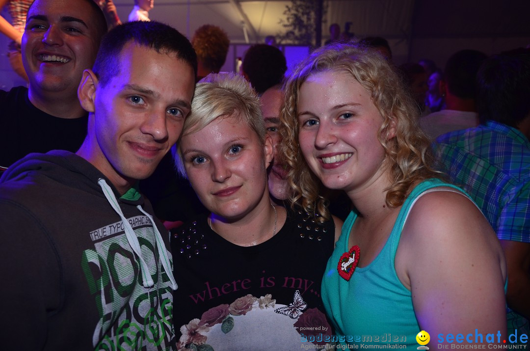 Bohlinger Sichelhenke - Partyband Freibier: Singen am Bodensee, 24.08.2013