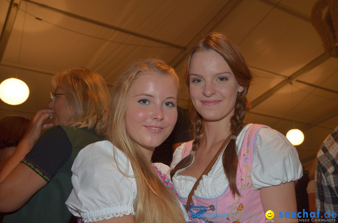 Bohlinger Sichelhenke - Partyband Freibier: Singen am Bodensee, 24.08.2013