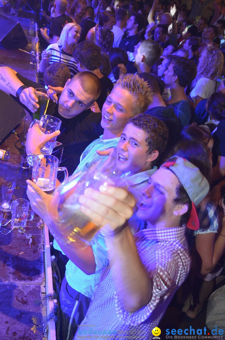 Bohlinger Sichelhenke - Partyband Freibier: Singen am Bodensee, 24.08.2013