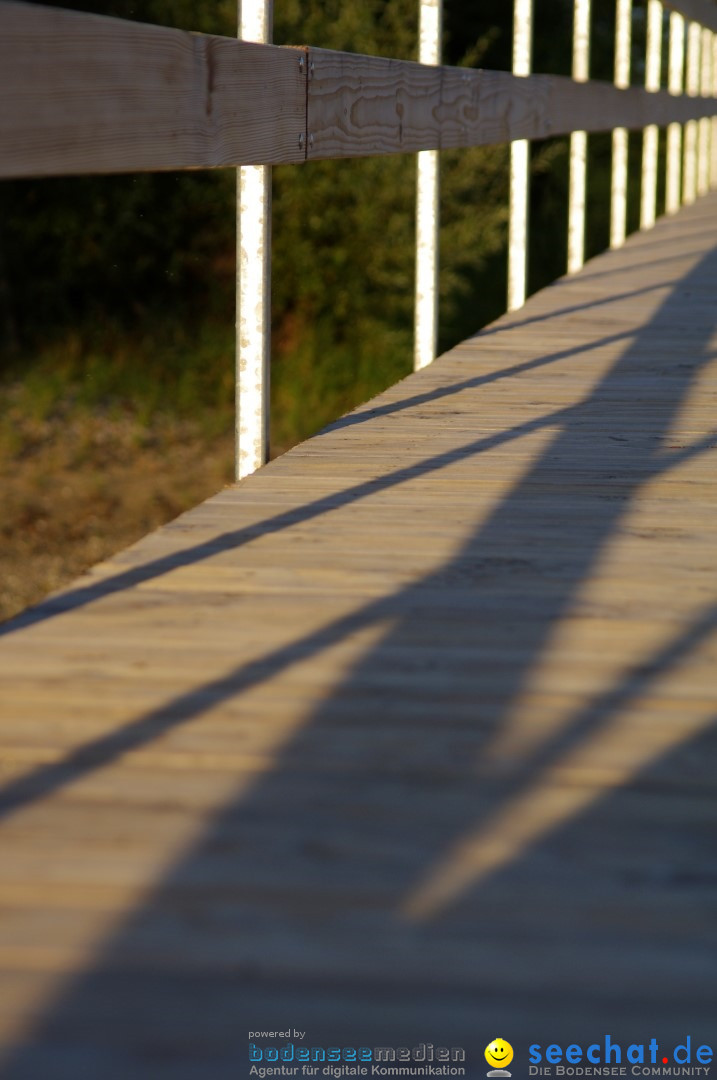 Bodenseequerung: Bruno Baumgartner: Bodman am Bodensee, 29.08.2013