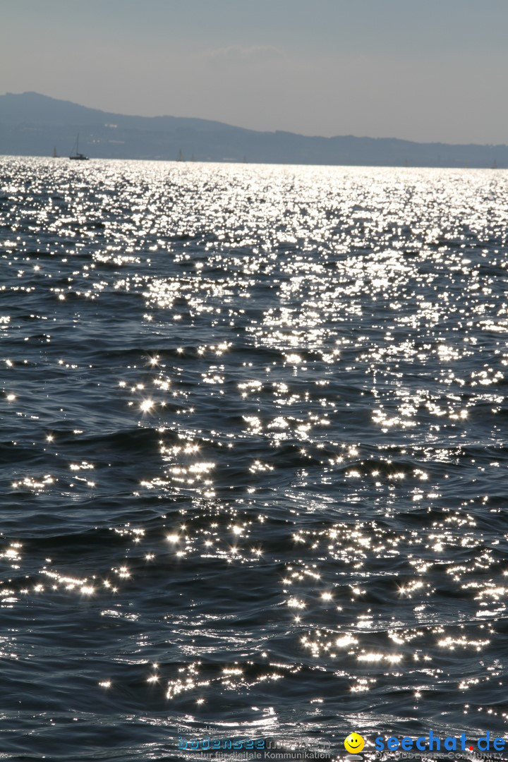 Bodenseequerung: Bruno Baumgartner: Bregenz am Bodensee, 30.08.2013