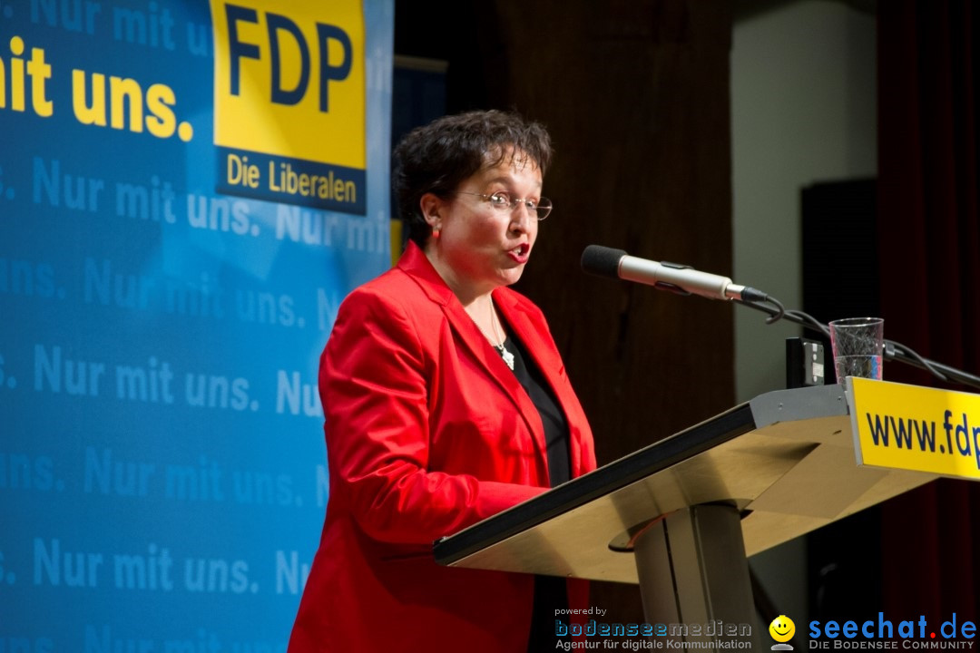 FDP-Kundgebung-Konzil-Konstanz-04092013-Bodensee-Community-Seechat-de_11.JPG
