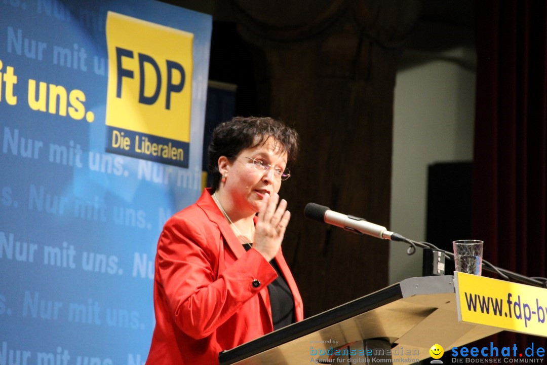X2-FDP-Kundgebung-Konzil-Konstanz-04092013-Bodensee-Community-SEECHAT_DE-IMG_4645.JPG