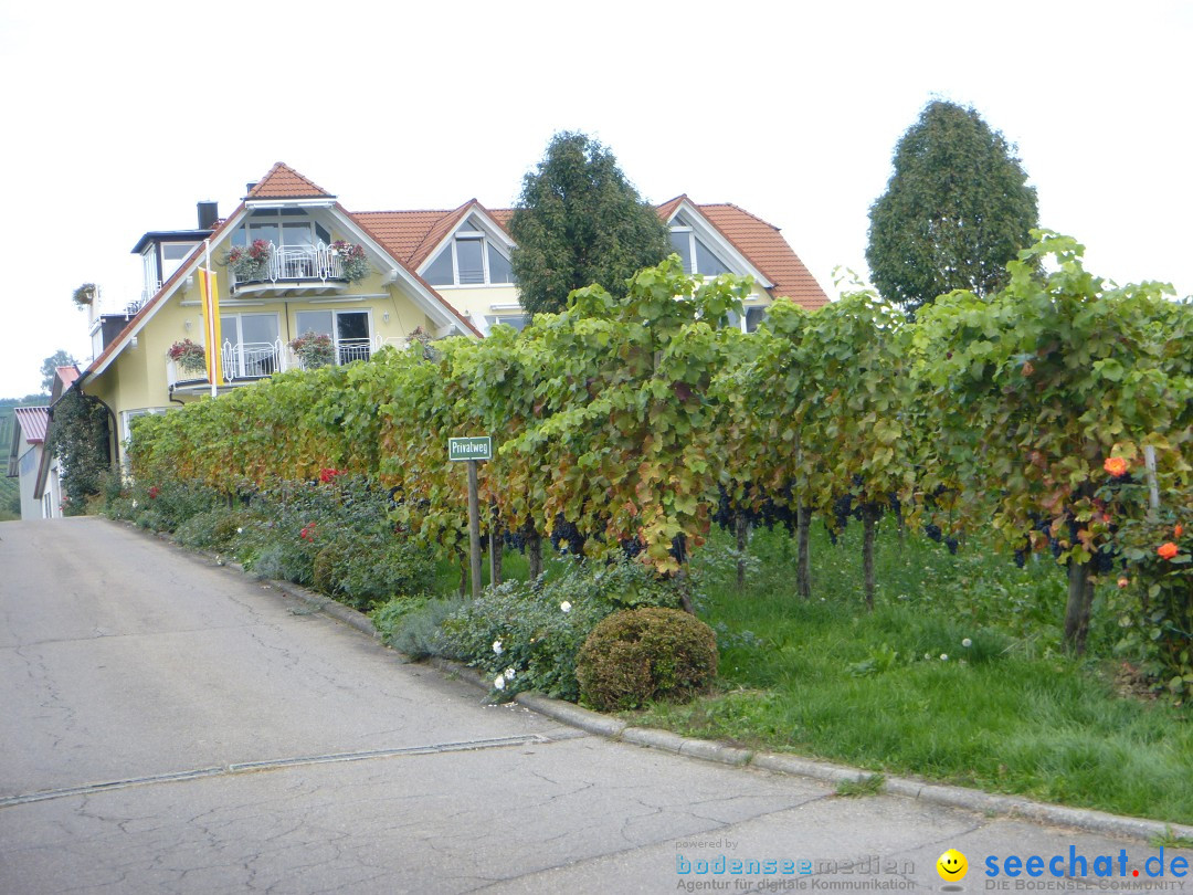 Tag der Deutschen Einheit: Meersburg am Bodensee, 03.10.2013
