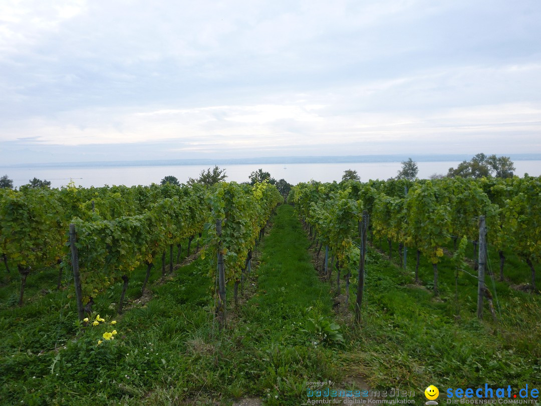 Tag der Deutschen Einheit: Meersburg am Bodensee, 03.10.2013
