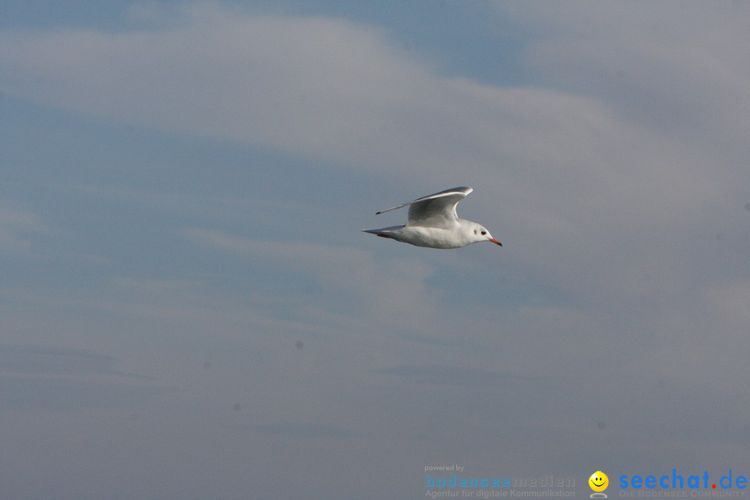 Zwei Zeppelin NT im Formations-Flug: Friedrichshafen am Bodensee, 19.10.201