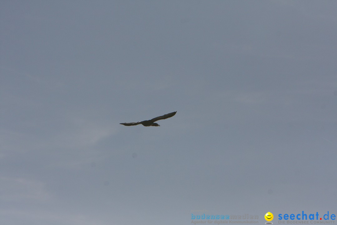 Zwei Zeppelin NT im Formations-Flug: Friedrichshafen am Bodensee, 19.10.201