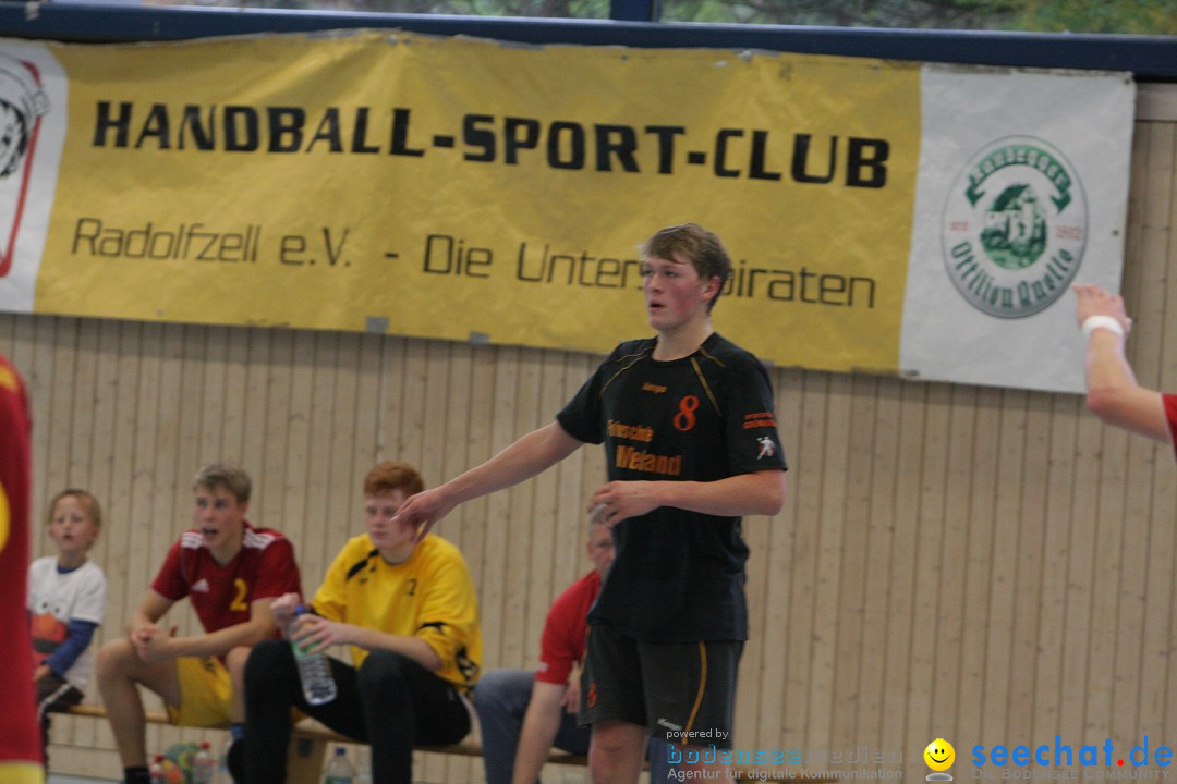 Handball Bodensee: HSC Radolfzell vs. TV Ueberlingen: Radolfzell, 20.10.13