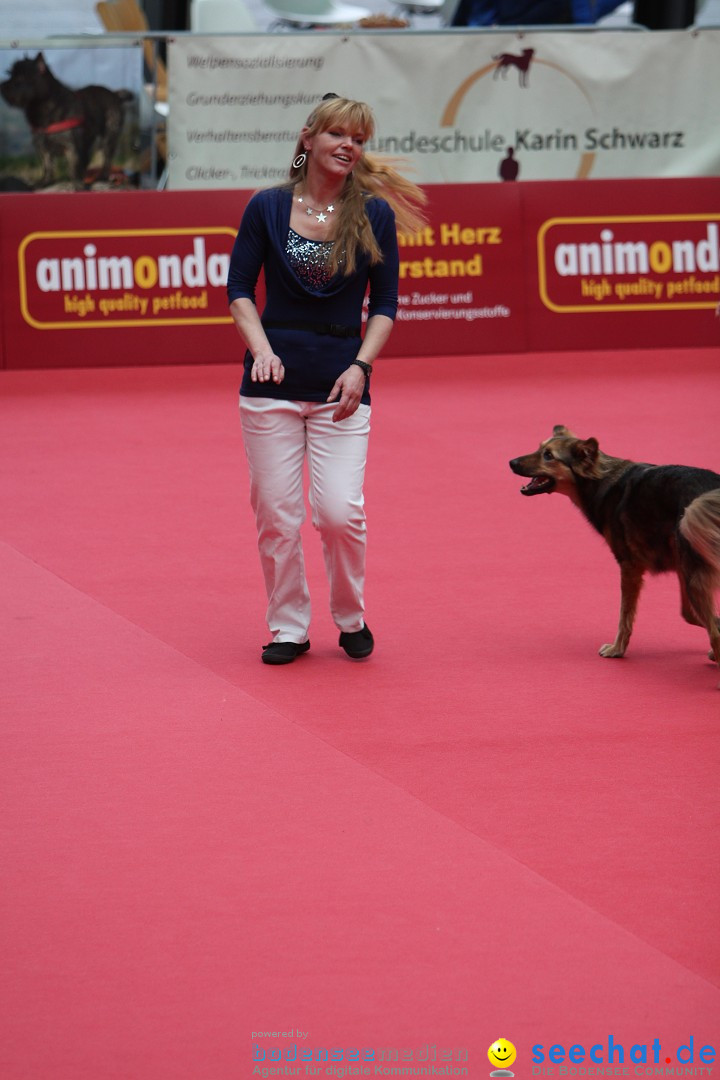 ANIMAL - Die Heimtiermesse: Messe Stuttgart, 16.11.2013
