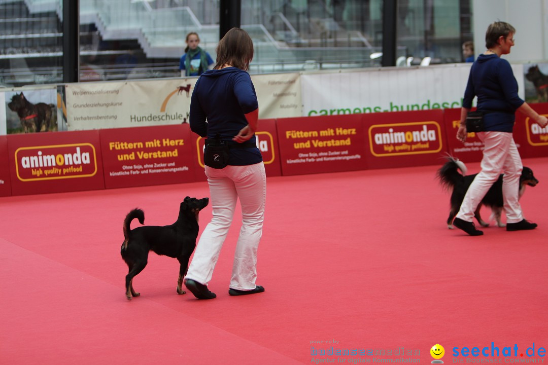 ANIMAL - Die Heimtiermesse: Messe Stuttgart, 16.11.2013