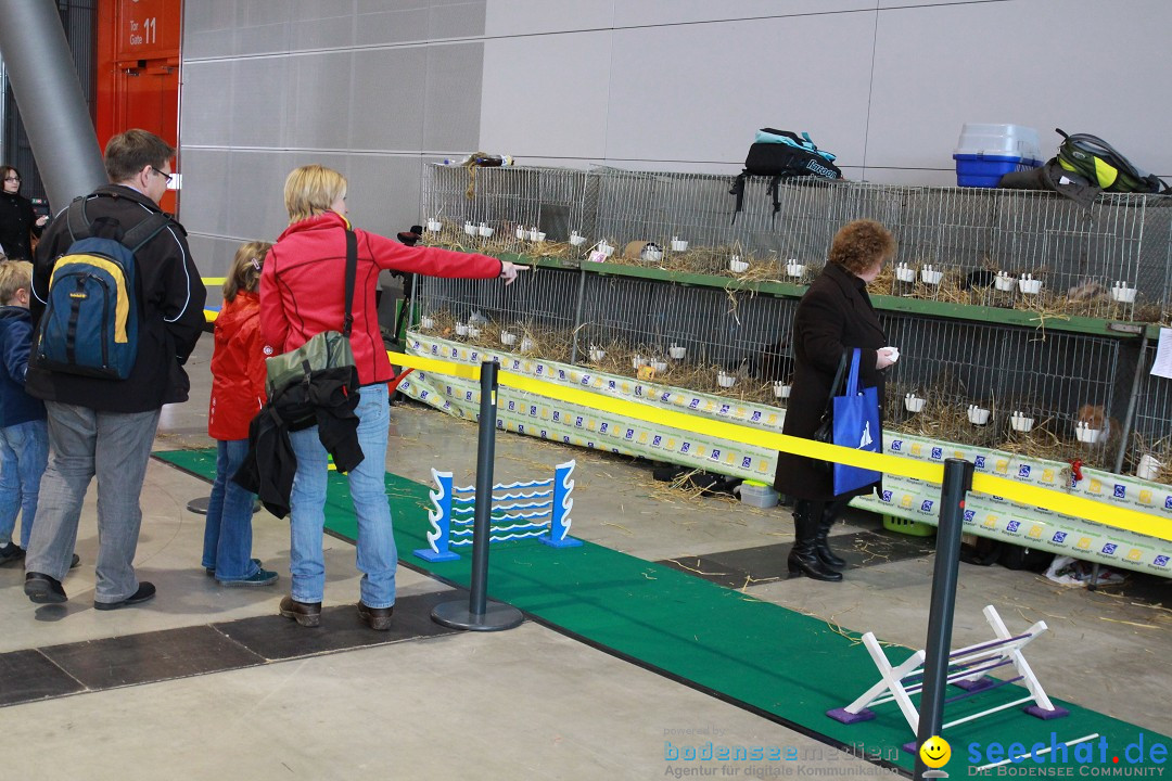 ANIMAL - Die Heimtiermesse: Messe Stuttgart, 16.11.2013