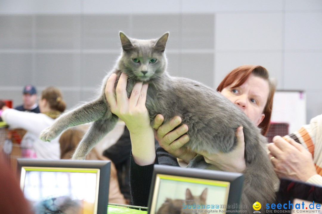 ANIMAL - Die Heimtiermesse: Messe Stuttgart, 16.11.2013