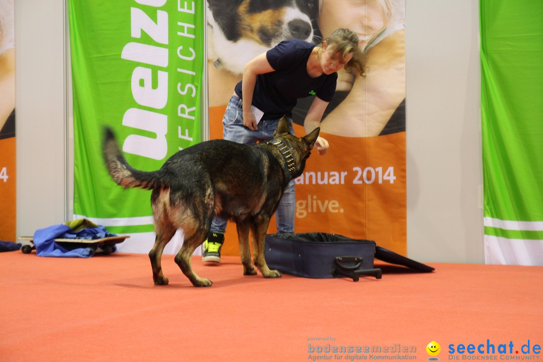 ANIMAL - Die Heimtiermesse: Messe Stuttgart, 16.11.2013