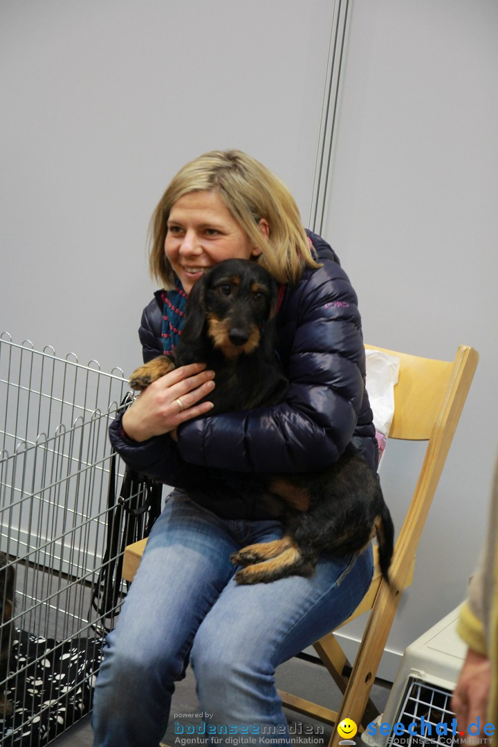 ANIMAL - Die Heimtiermesse: Messe Stuttgart, 16.11.2013