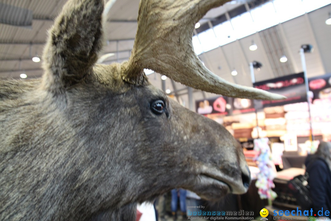 ANIMAL - Die Heimtiermesse: Messe Stuttgart, 16.11.2013