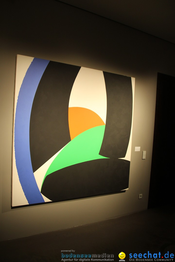 MAC-Museum-Art-Cars-Eroeffnung-Singen-24112013-Bodensee-Community-SEECHAT_DE-IMG_3902.JPG