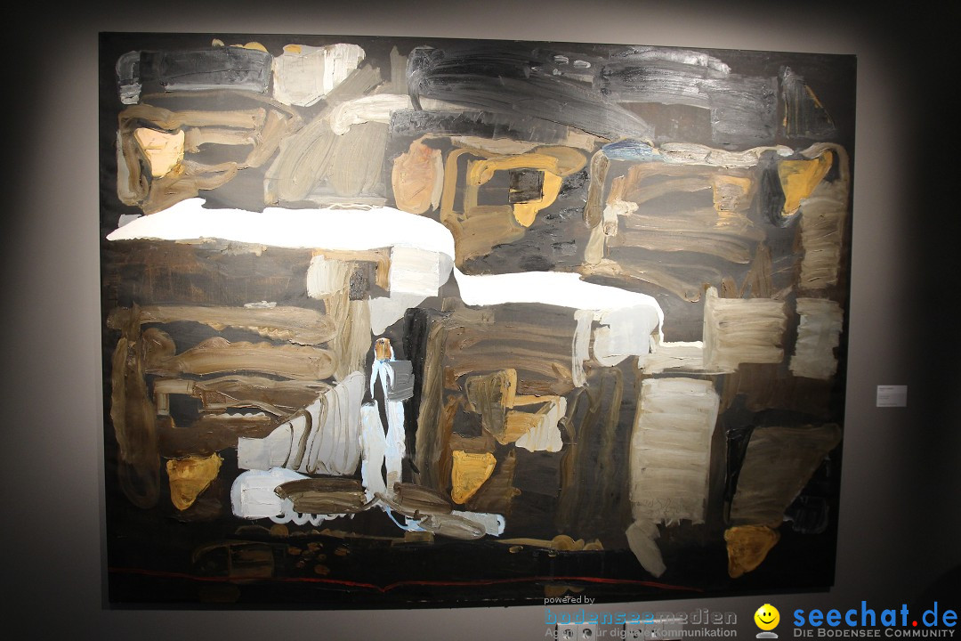 MAC-Museum-Art-Cars-Eroeffnung-Singen-24112013-Bodensee-Community-SEECHAT_DE-IMG_3950.JPG