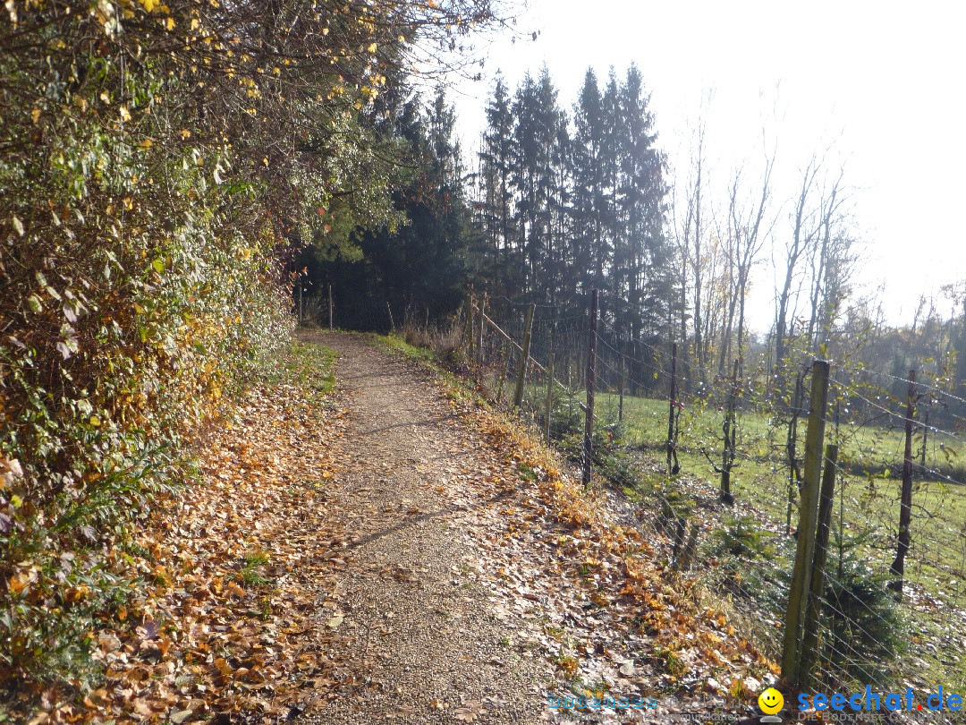 Bodensee-Herbst-Sipplingen-30-11-2013-Bodensee-Community-SEECHAT_DE-024.jpg