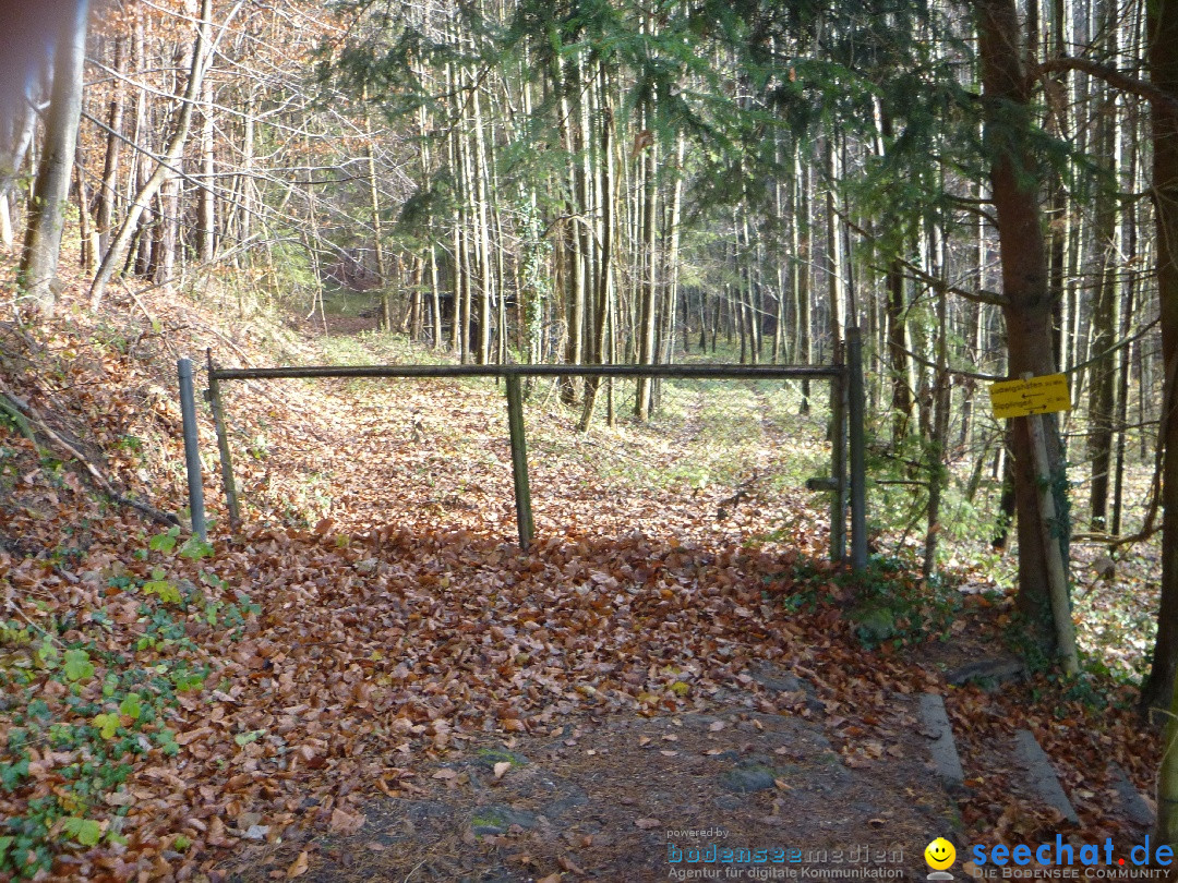 Bodensee-Herbst-Sipplingen-30-11-2013-Bodensee-Community-SEECHAT_DE-028.jpg
