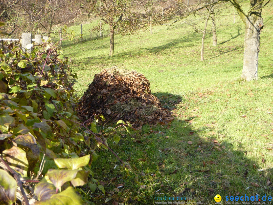 Bodensee-Herbst-Sipplingen-30-11-2013-Bodensee-Community-SEECHAT_DE-091.jpg