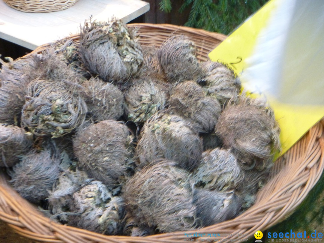 seechat.de Bodensee Community Treffen: Konstanz, 14.12.2013