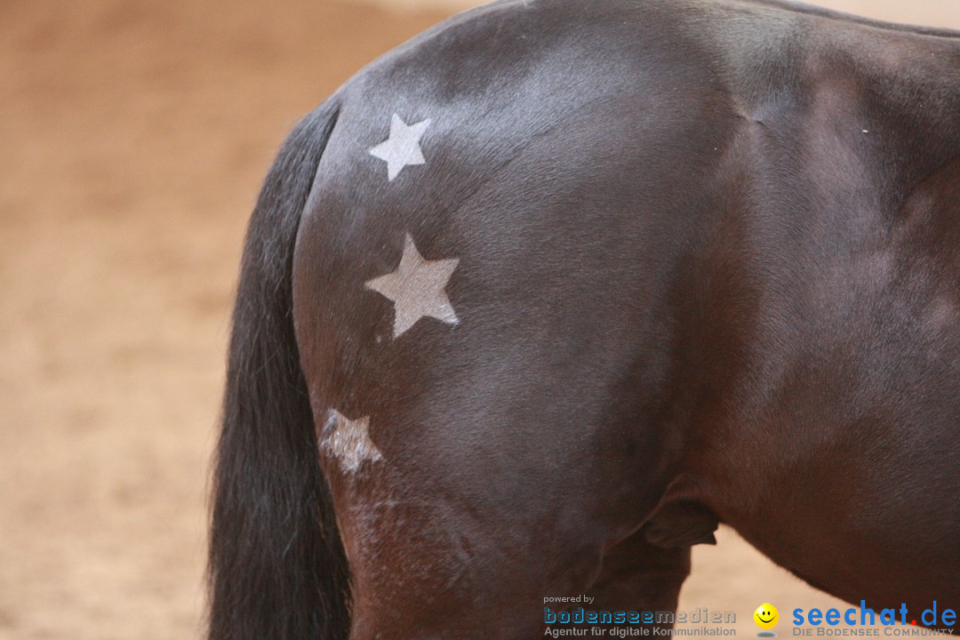3-Koenigs-Reiten-Jettweiler-060114-BODENSEE-COMMUNITY-SEECHAT_DE-IMG_8490.JPG