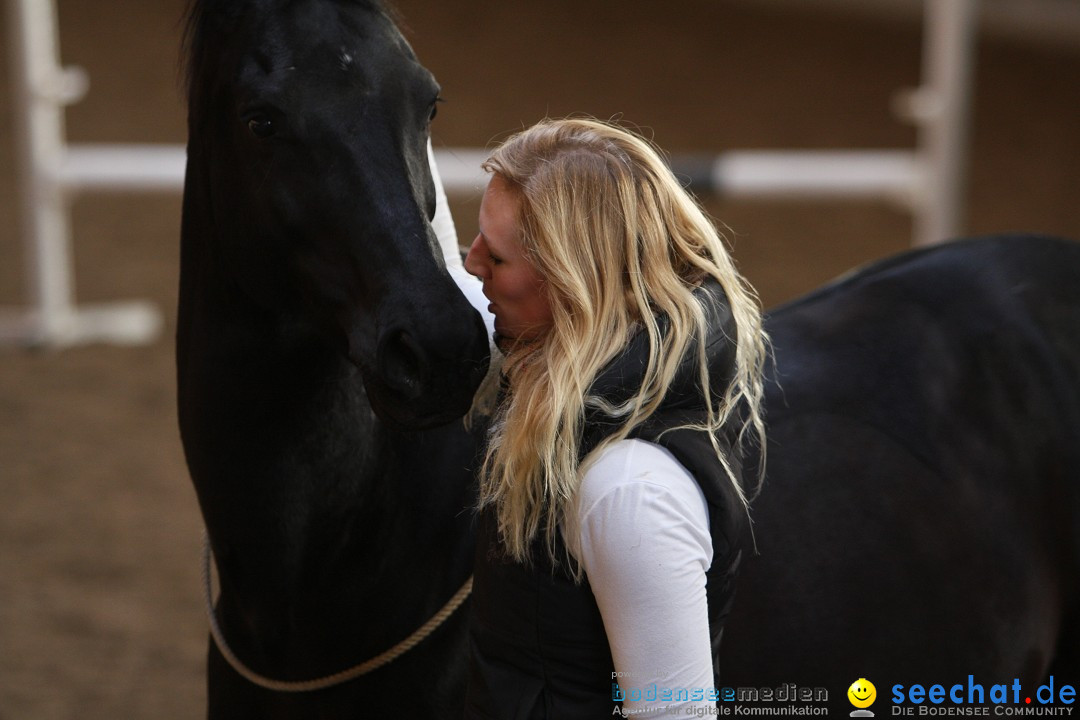 3-Koenigs-Reiten-Jettweiler-060114-BODENSEE-COMMUNITY-SEECHAT_DE-IMG_8645.JPG