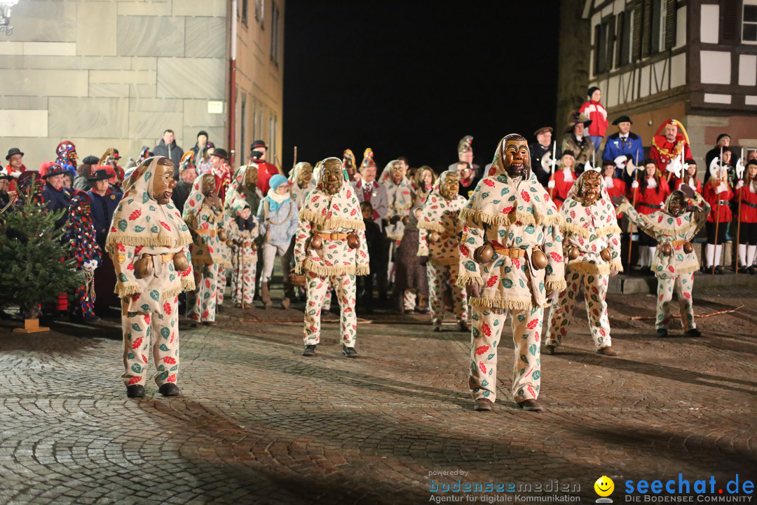 Narrenweckruf: Markdorf am Bodensee, 06.01.2014
