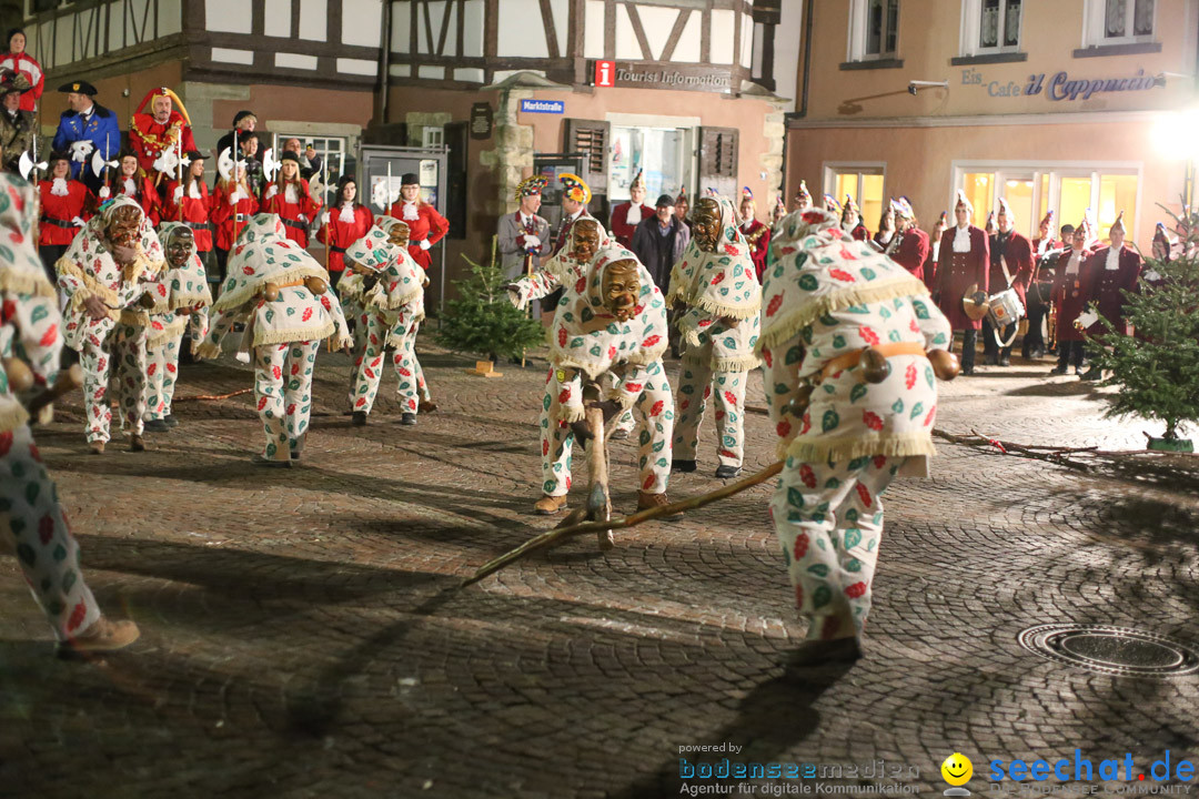 Narrenweckruf: Markdorf am Bodensee, 06.01.2014