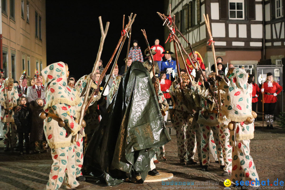 Narrenweckruf: Markdorf am Bodensee, 06.01.2014
