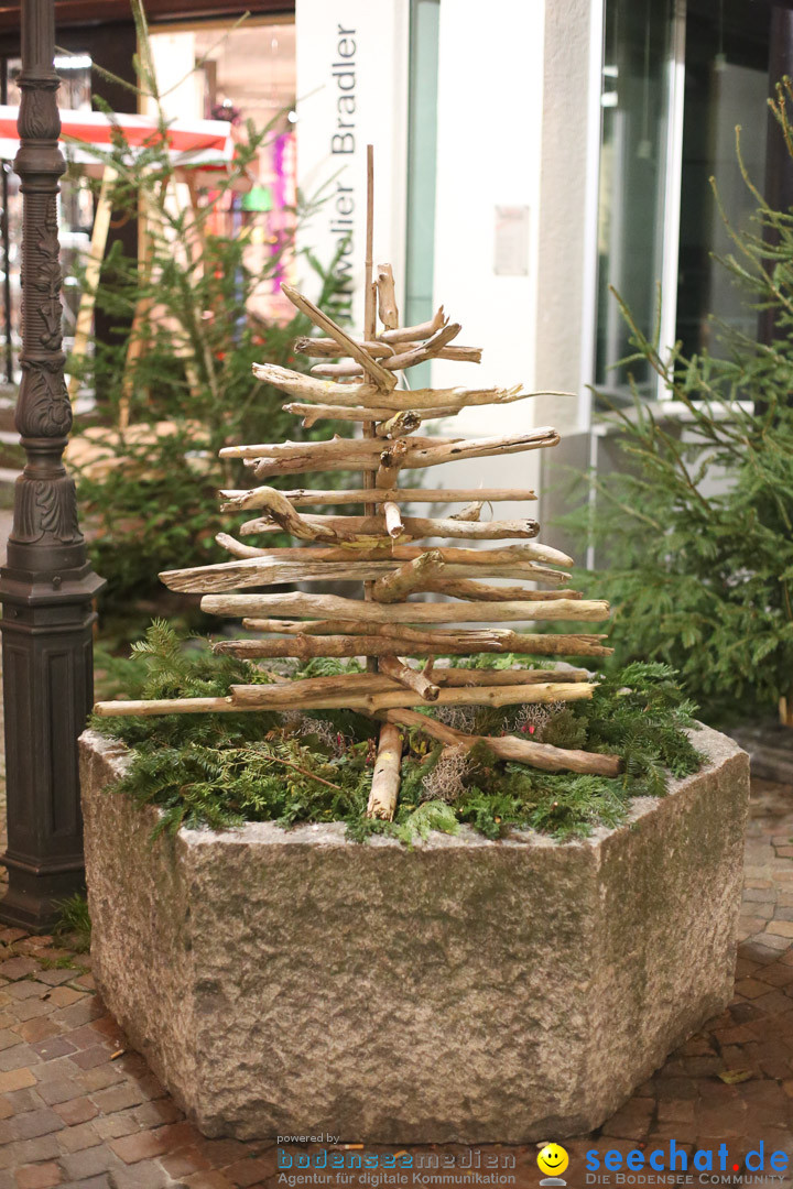 Narrenweckruf: Markdorf am Bodensee, 06.01.2014