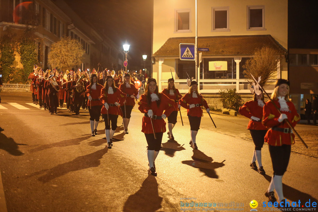 Narrenweckruf: Markdorf am Bodensee, 06.01.2014