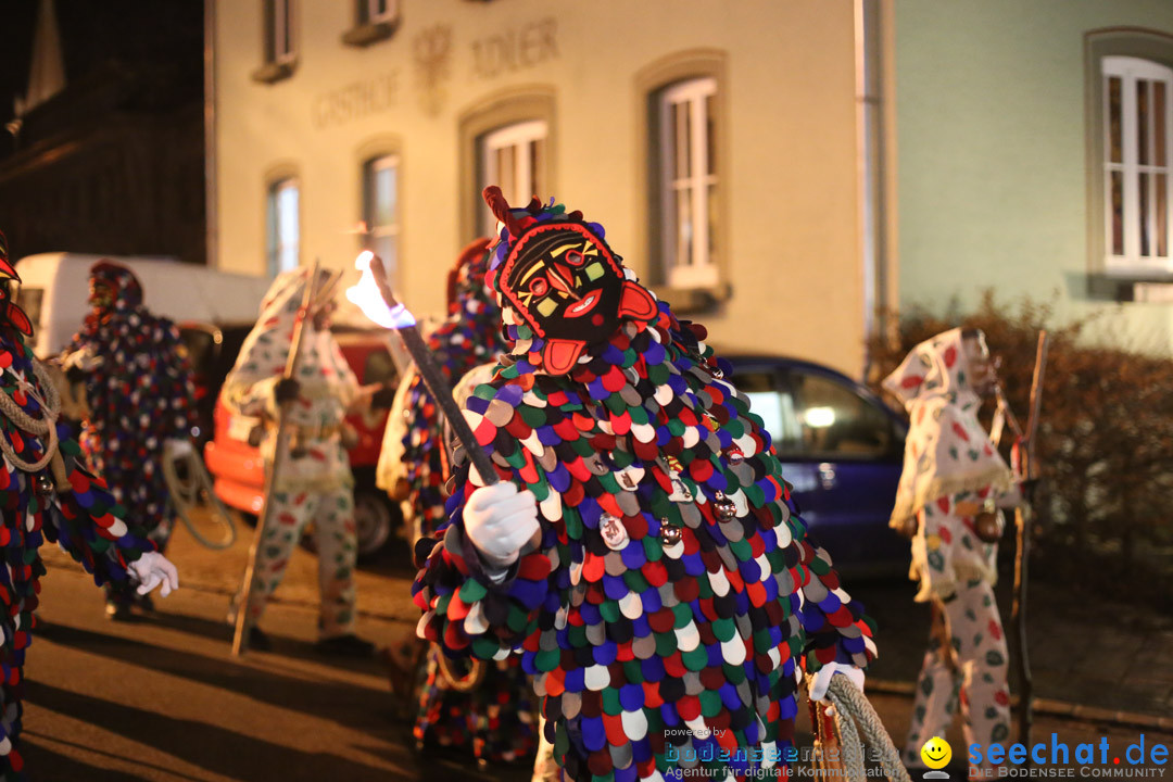 Narrenweckruf: Markdorf am Bodensee, 06.01.2014