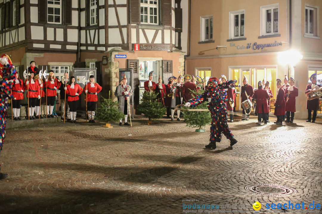 Narrenweckruf: Markdorf am Bodensee, 06.01.2014
