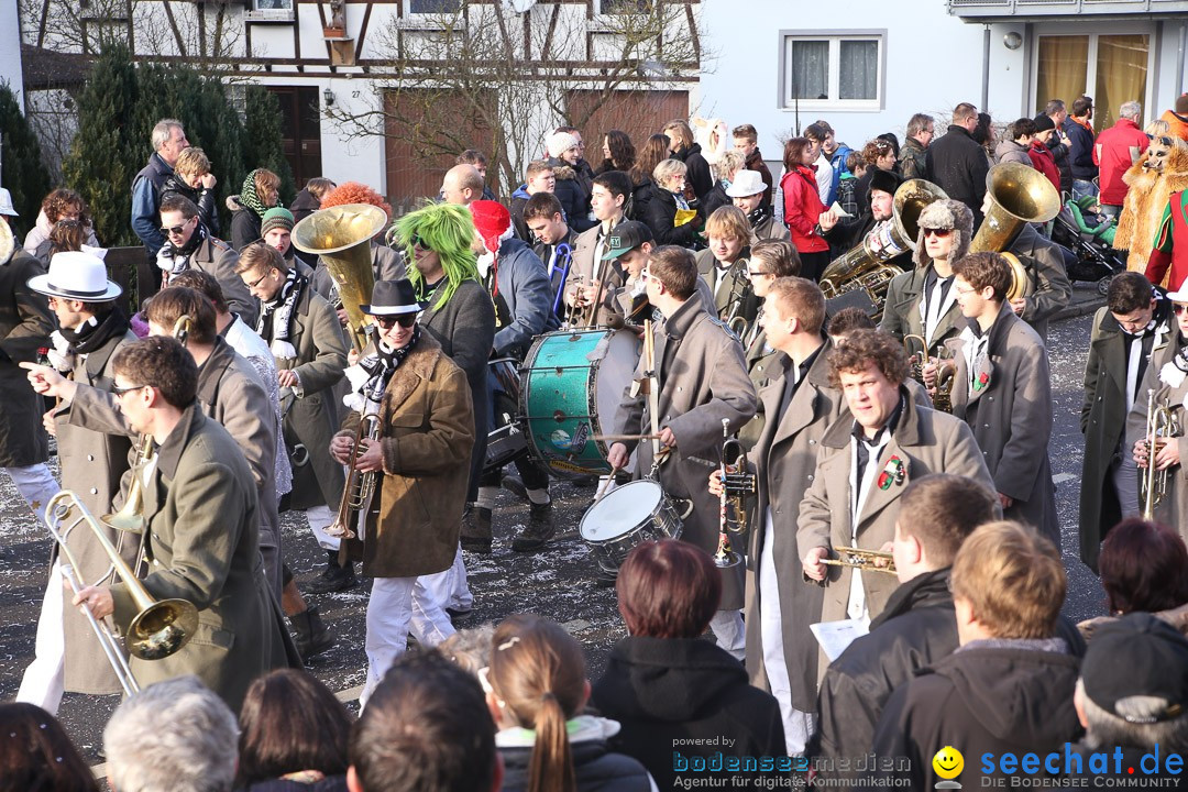 Narrensprung: Hasenweiler am Bodensee, 12.01.2014