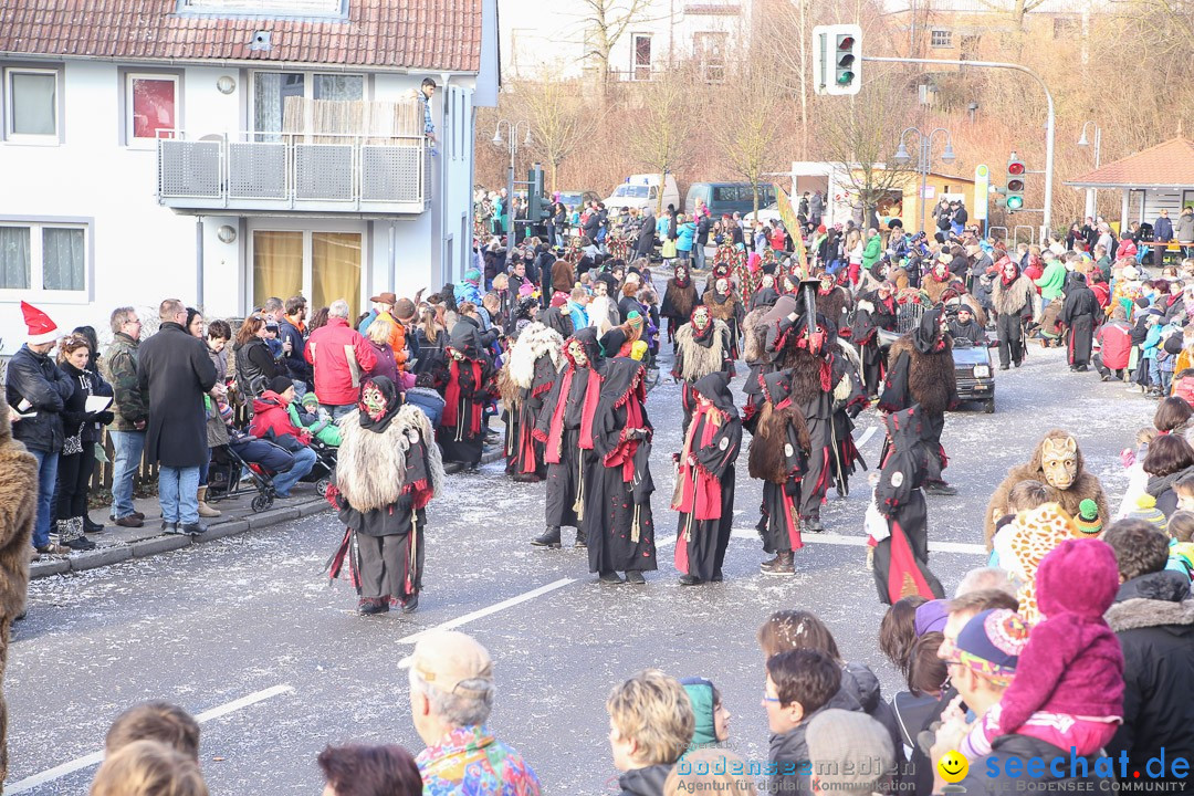 Narrensprung: Hasenweiler am Bodensee, 12.01.2014