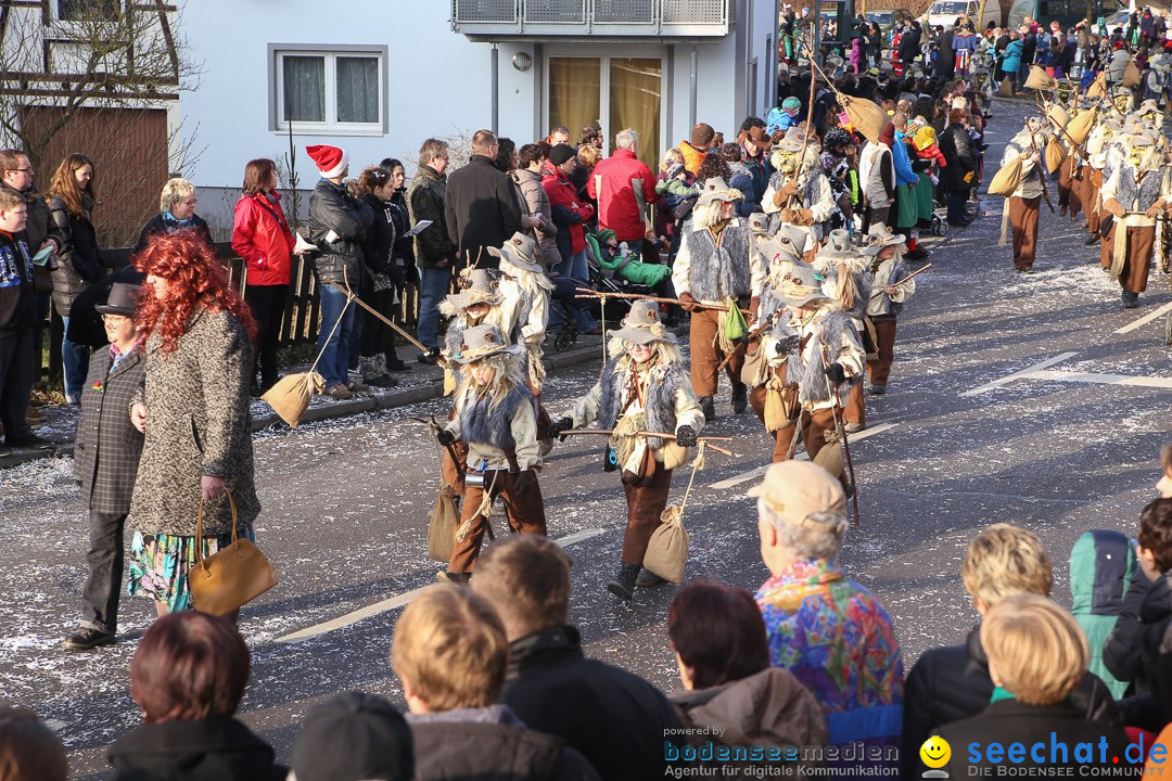 Narrensprung: Hasenweiler am Bodensee, 12.01.2014