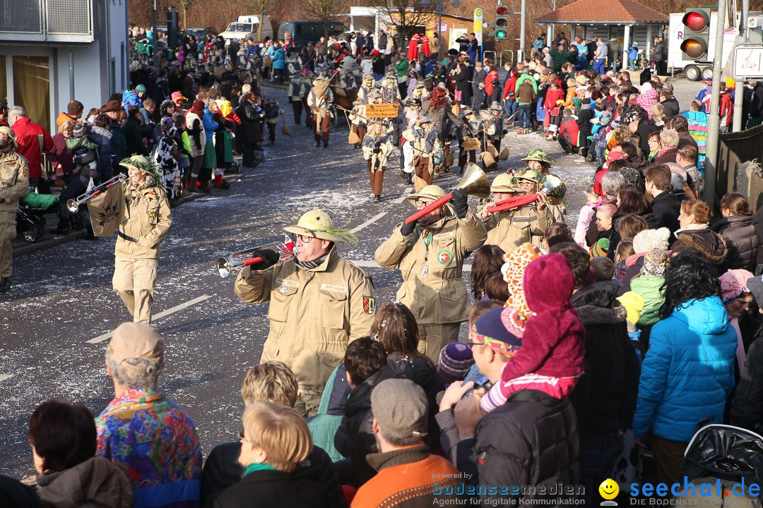 Narrensprung: Hasenweiler am Bodensee, 12.01.2014